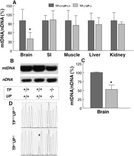 Figure 3.