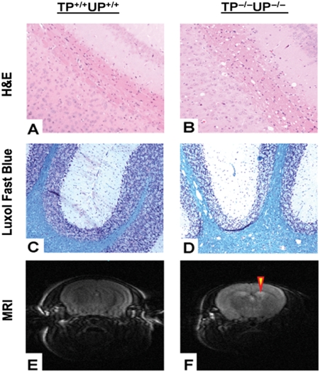 Figure 5.