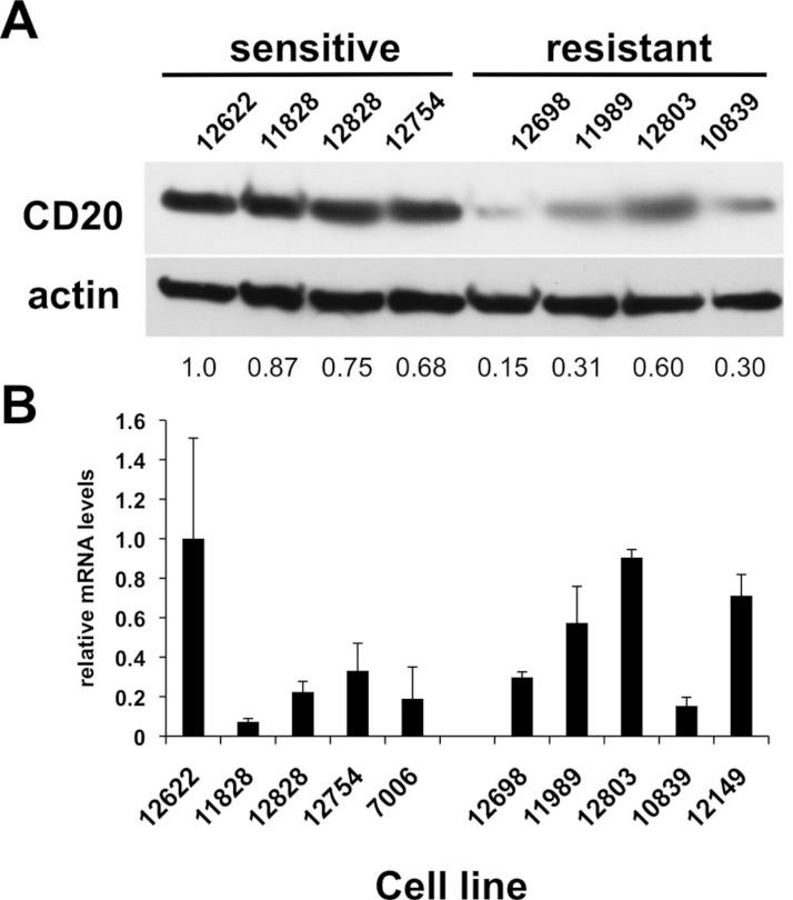 Figure 2