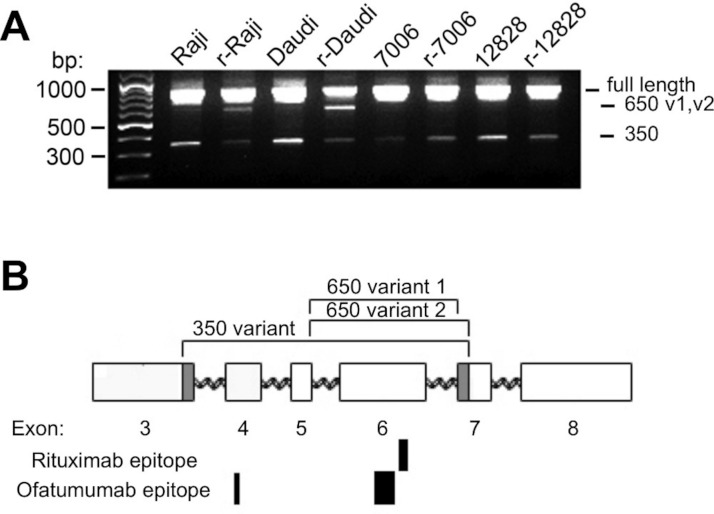 Figure 4