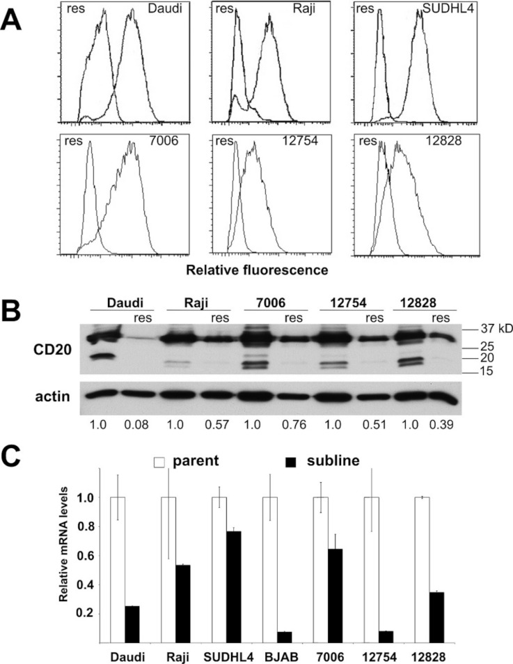 Figure 3