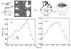 Fig. 8