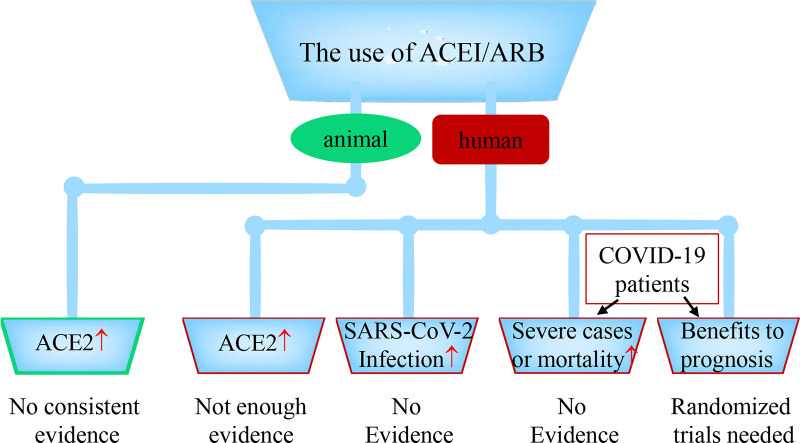 Unlabelled Image