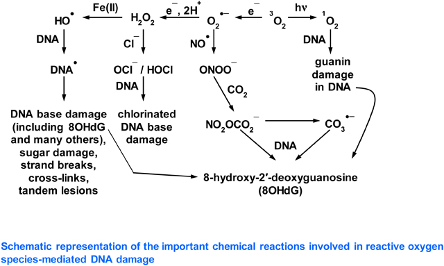 graphic file with name nihms-1723164-f0001.jpg