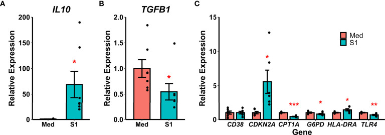 Figure 2