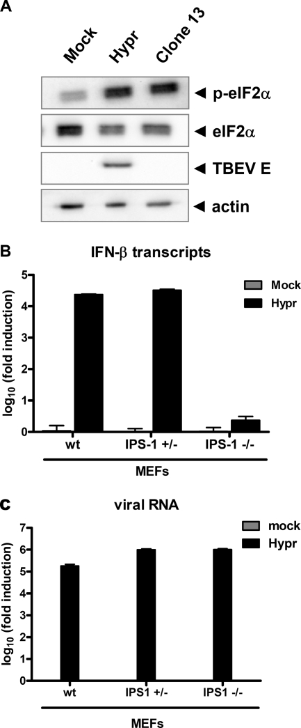 FIG. 9.