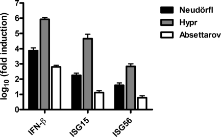 FIG. 1.