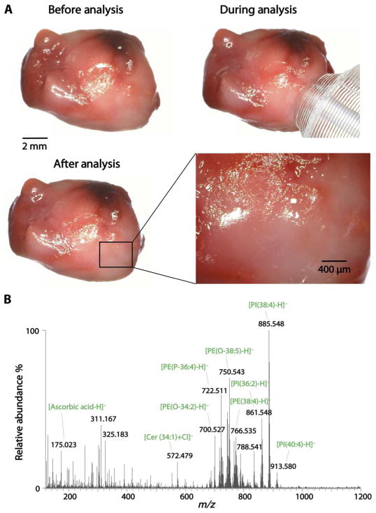 Fig. 3