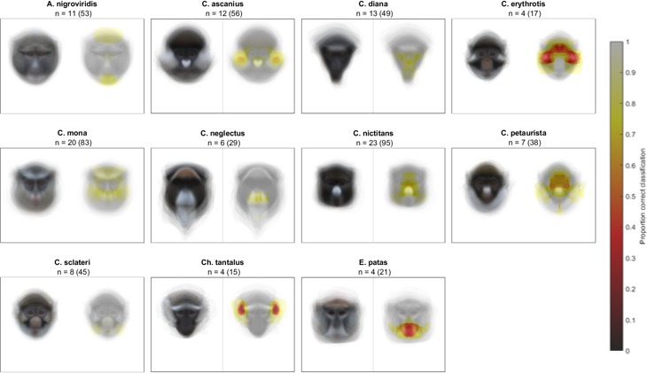 Figure 2—figure supplement 3.