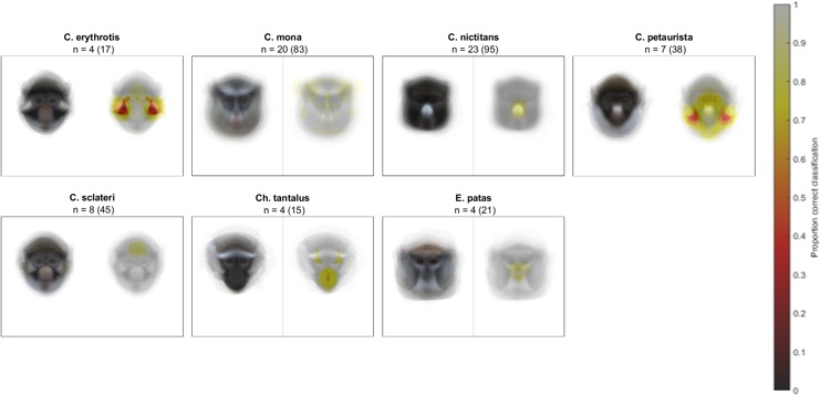 Figure 2—figure supplement 6.