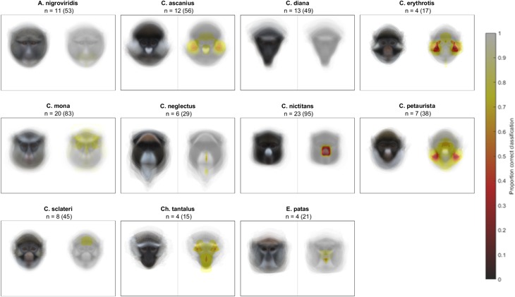 Figure 2—figure supplement 2.