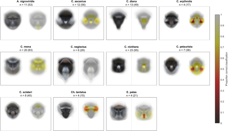 Figure 2—figure supplement 4.