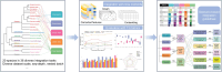 Graphical Abstract