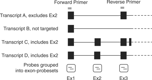 Figure 9.