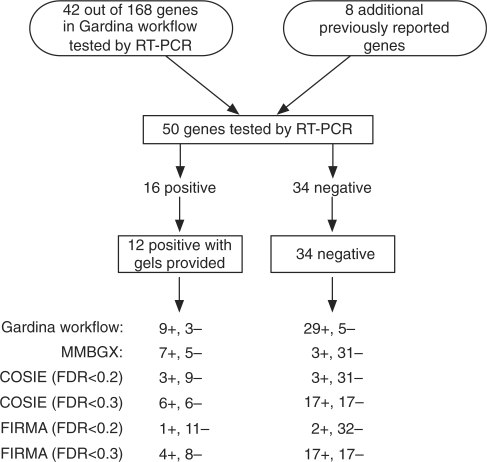 Figure 12.