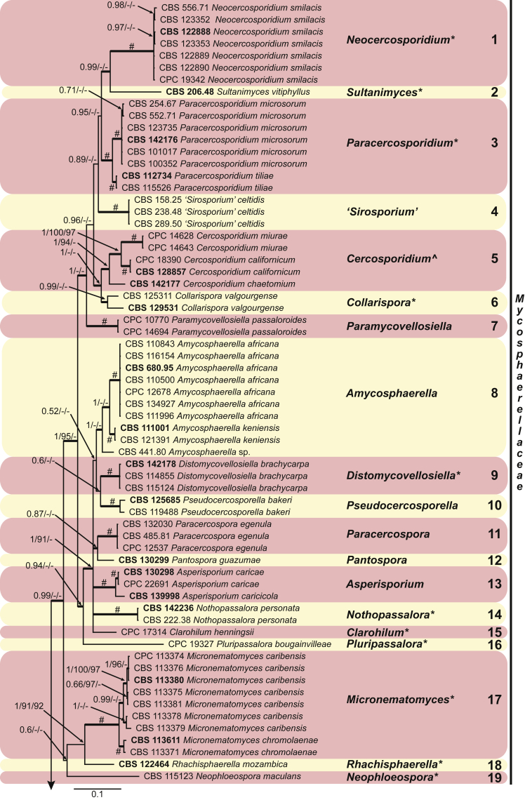 Fig. 3