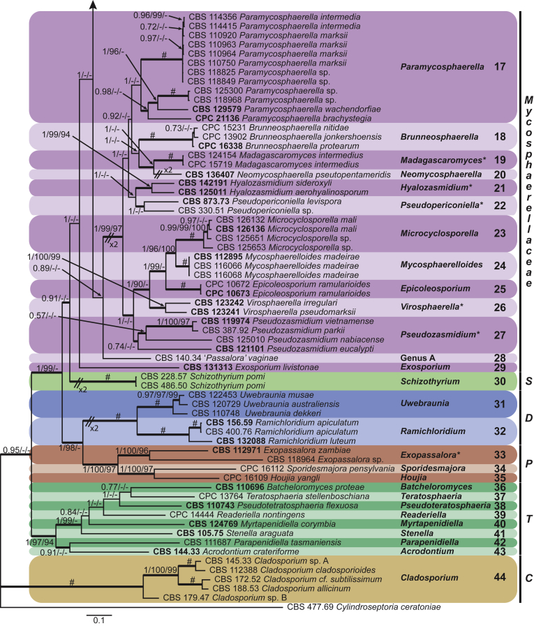 Fig. 4