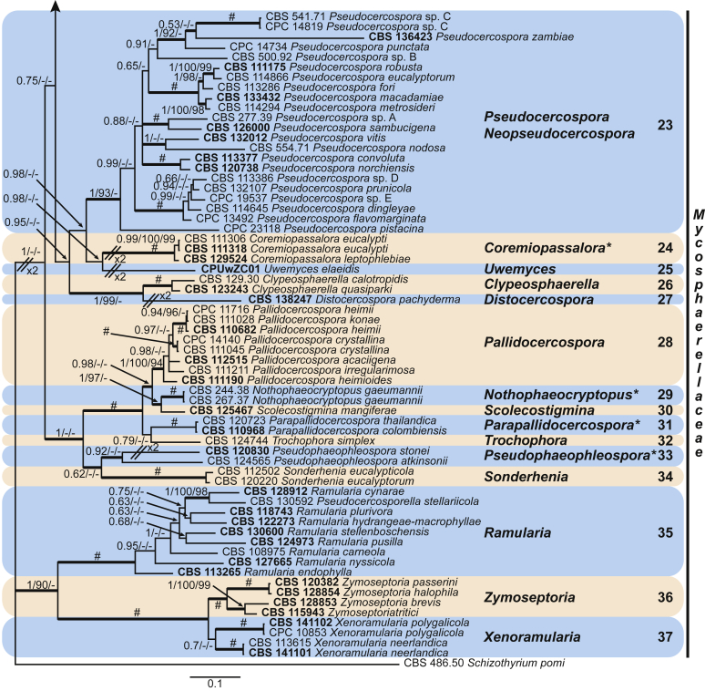 Fig. 2