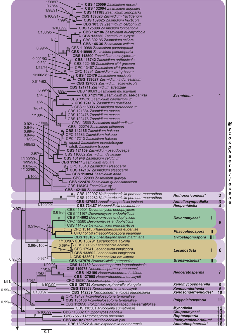 Fig. 4