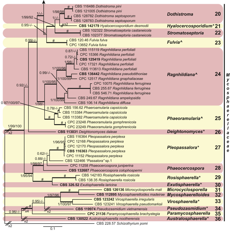 Fig. 3