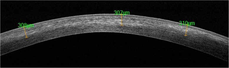 Fig. 8