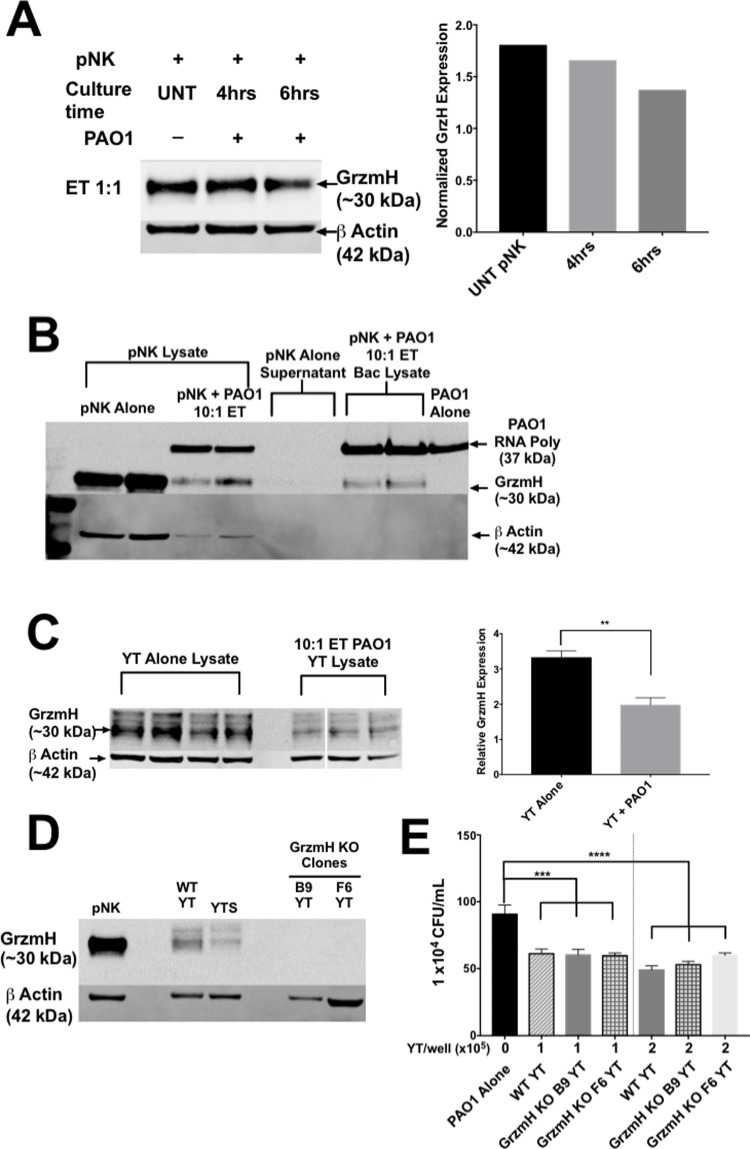 Fig 8