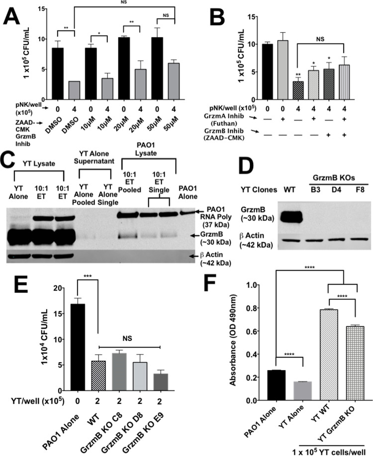 Fig 7