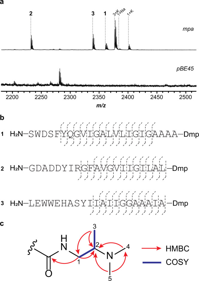 Fig. 2