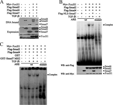 FIG. 8.