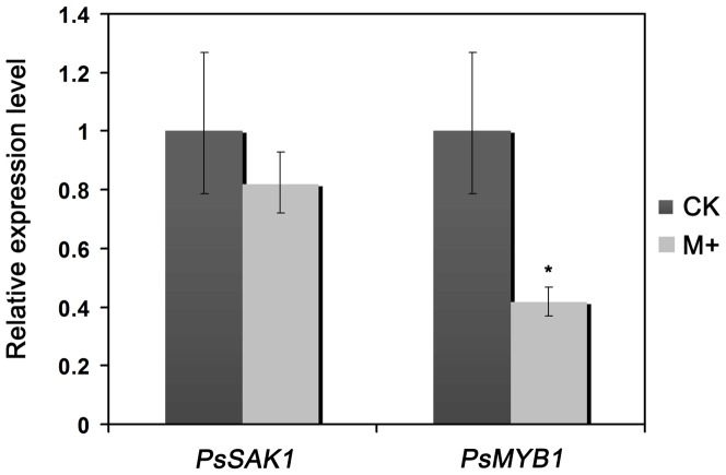 Figure 5