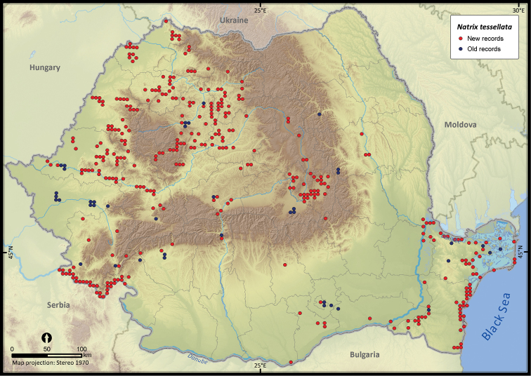 Figure 25.