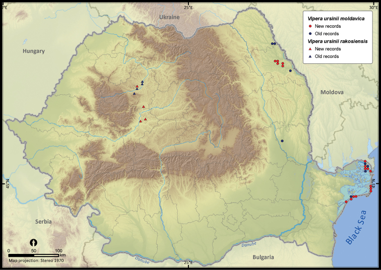 Figure 28.