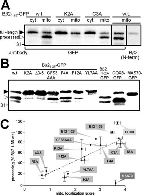 FIG 2