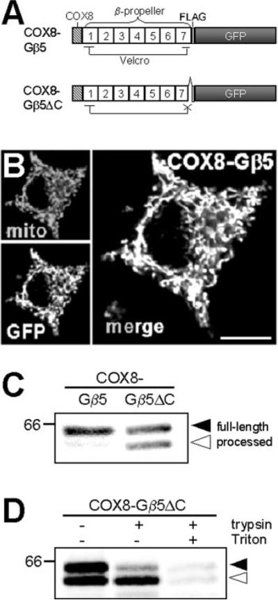 FIG 6