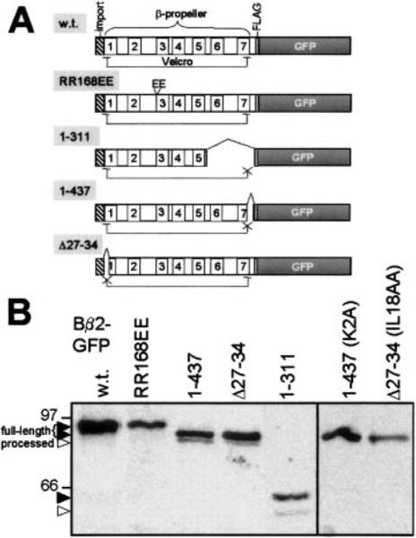 FIG 5