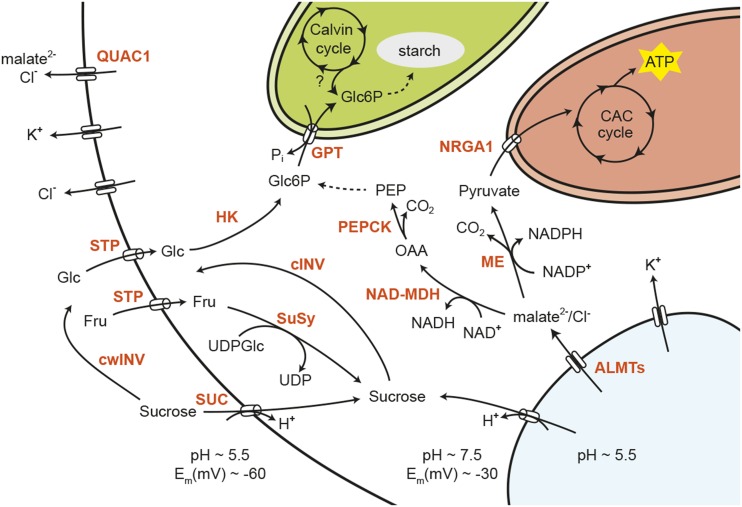 Figure 2.