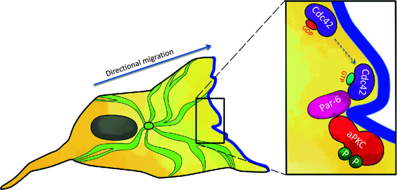 Fig. 2