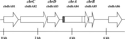 FIG. 4.