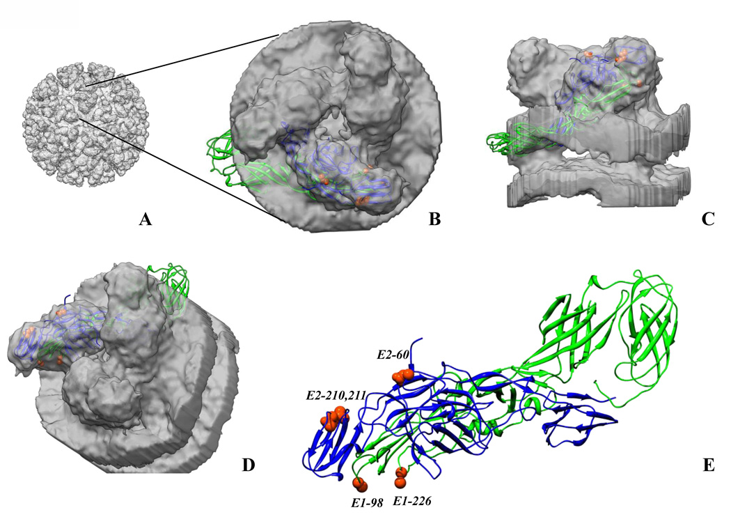 Fig. 4