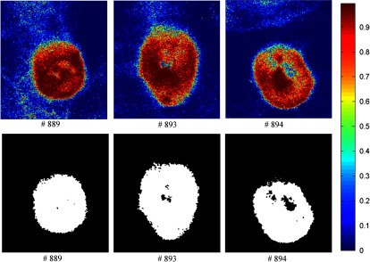 Fig. 13