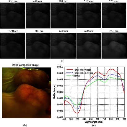 Fig. 8