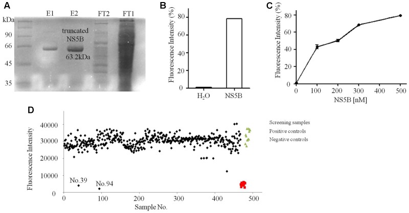 FIGURE 4