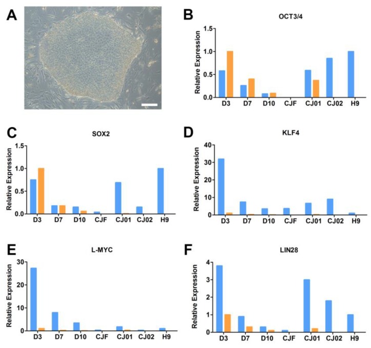 Figure 3