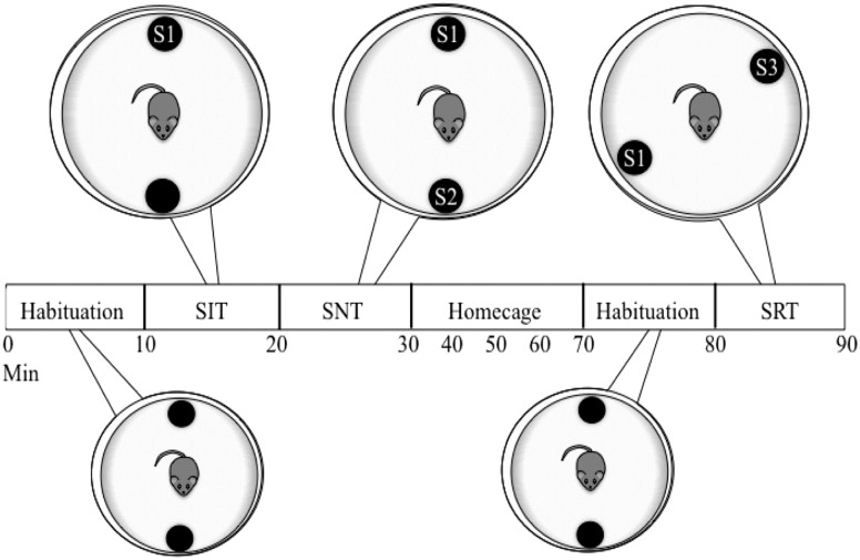 Figure 1.