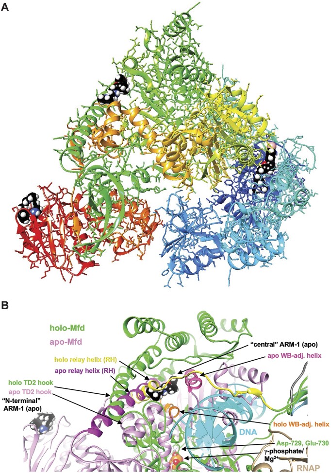 Figure 3.