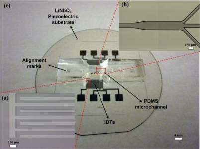 Figure 6.