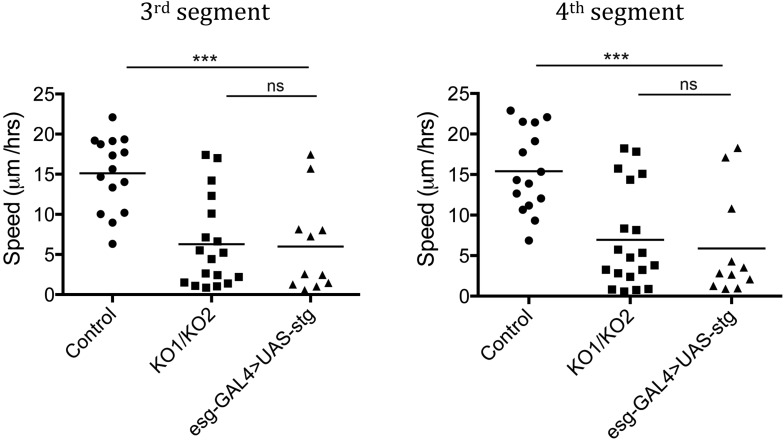 Figure 5—figure supplement 3.