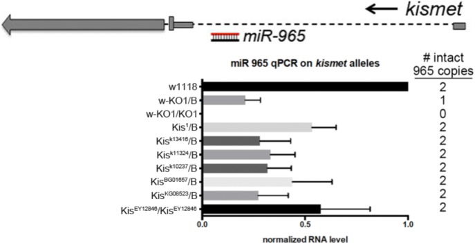 Figure 1—figure supplement 1.