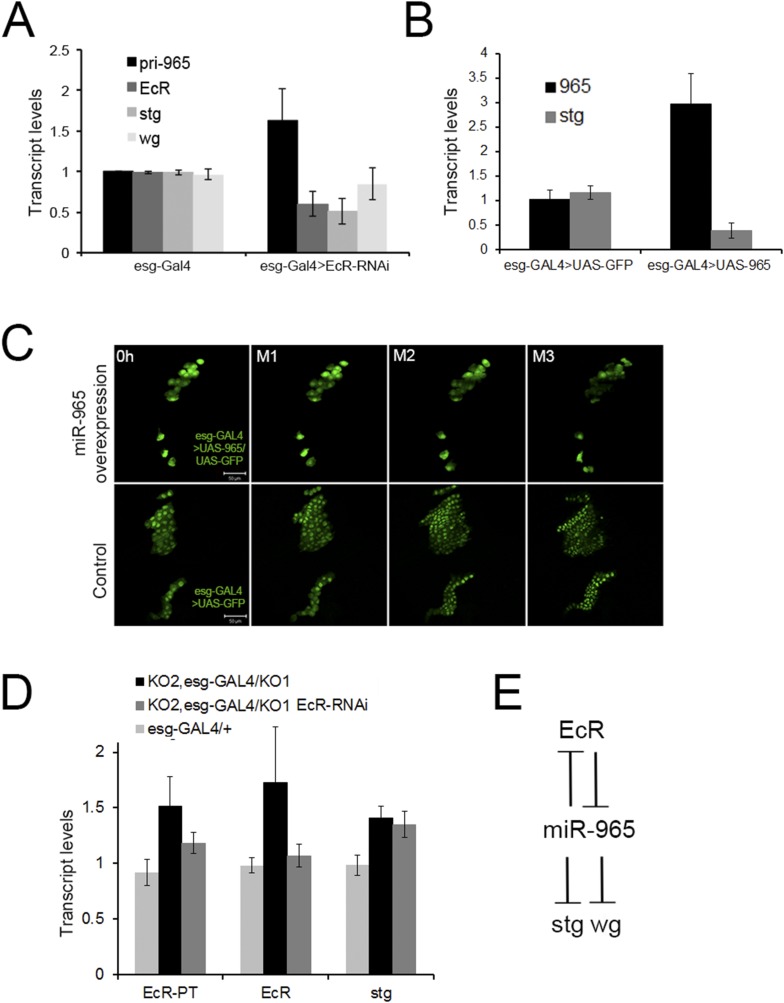 Figure 6.