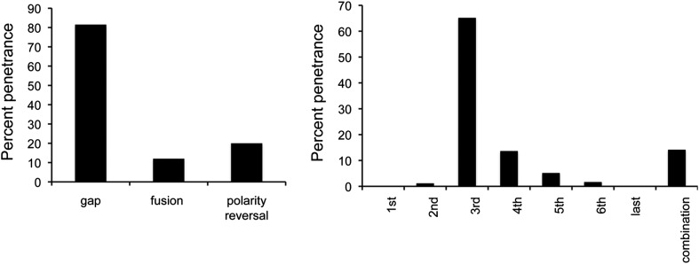 Figure 1—figure supplement 3.